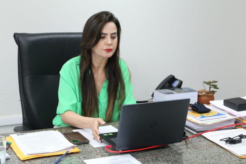 Mara Caseiro solicita reparos em ponte do Córrego Macaco em Paraíso das Águas